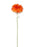 Single Stem Gerbera x 50cm - Orange