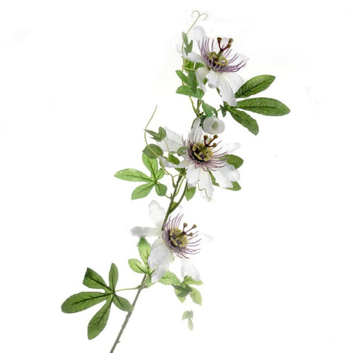 Passion Flower Spray x 75cm - White/Purple 