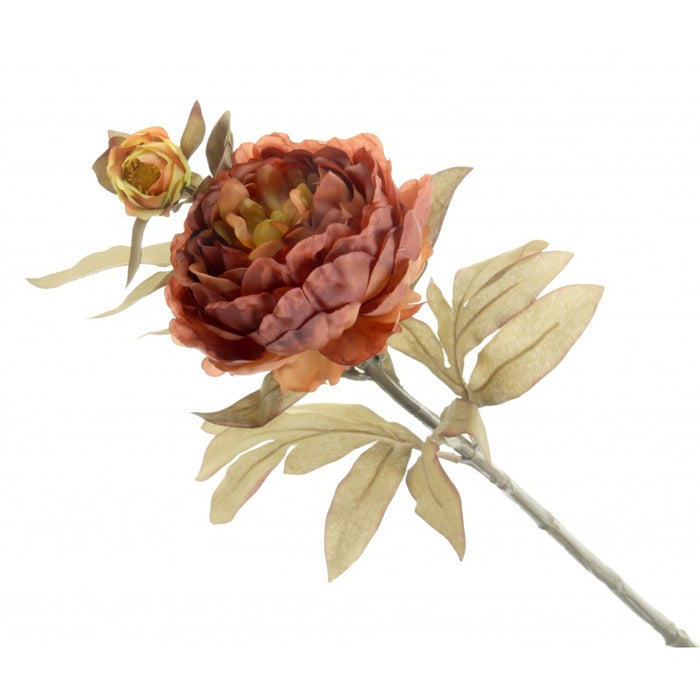 Peony - Burnt Orange/Brown (1 flower & 1 bud, 64cm long)