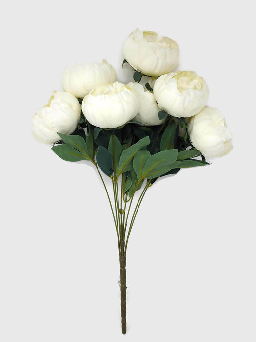 10 Head Ivory Peony Bush x 50cm