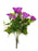 Petunia & Ivy Bush x 30cm - Purple
