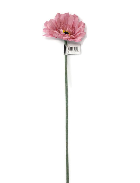 Single Stem Gerbera x 50cm - Pink & Cream