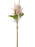 Tall Single Stem Astilbe x 95cm - Pink & White