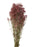 Preserved Gypsophila x 60cm - Pink/Natural - 100g per pack