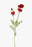 Red Poppy Spray x 60cm