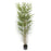 Potted Bamboo Tree - Natural (180cm tall)