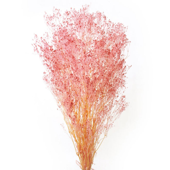 Preserved Gypsophila x 60cm - Light Pink - 100g per pack