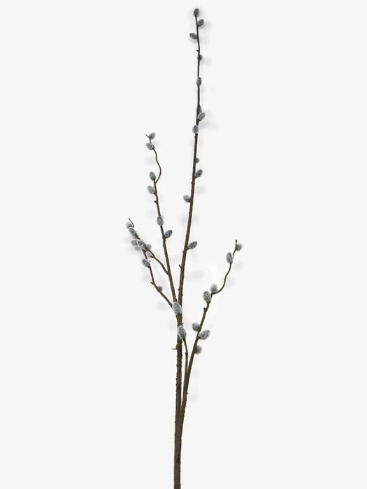 Pussy Willow Spray x 100cm