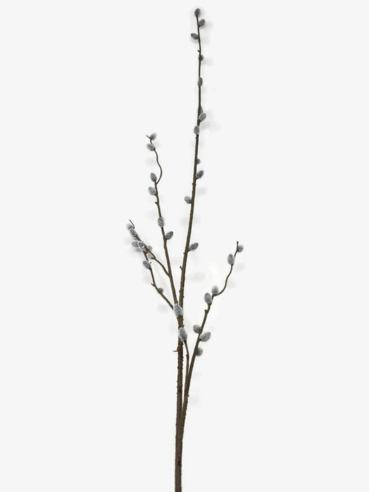 Pussy Willow Spray x 100cm * Due Early June*