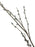 Pussy Willow Spray x 100cm
