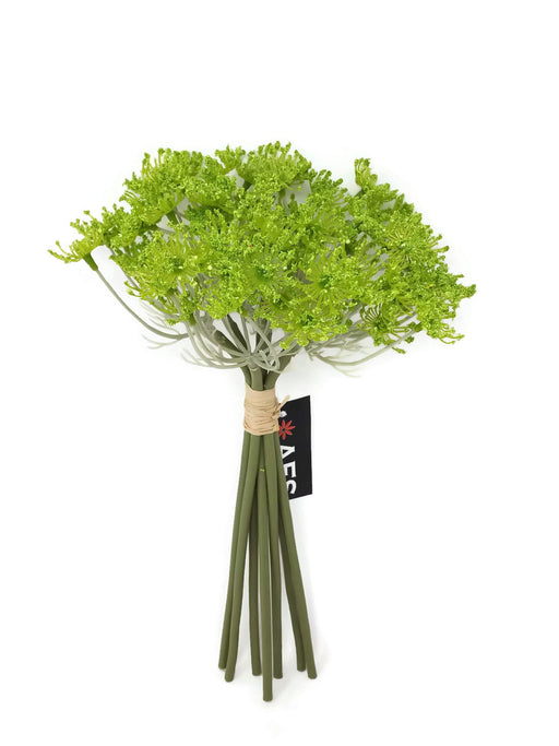 7 Head Queen Anne's Lace Bunch x 27cm - Green