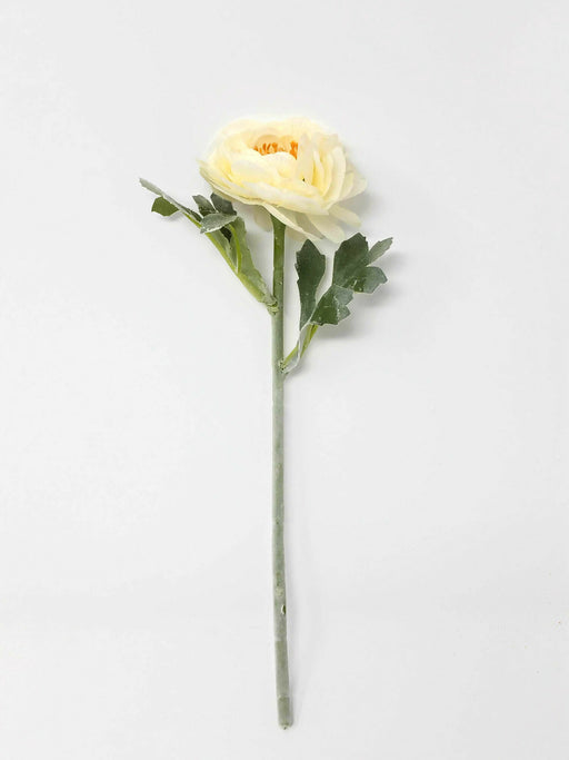 Single Stem Ranunculus Pick x 26cm - Cream