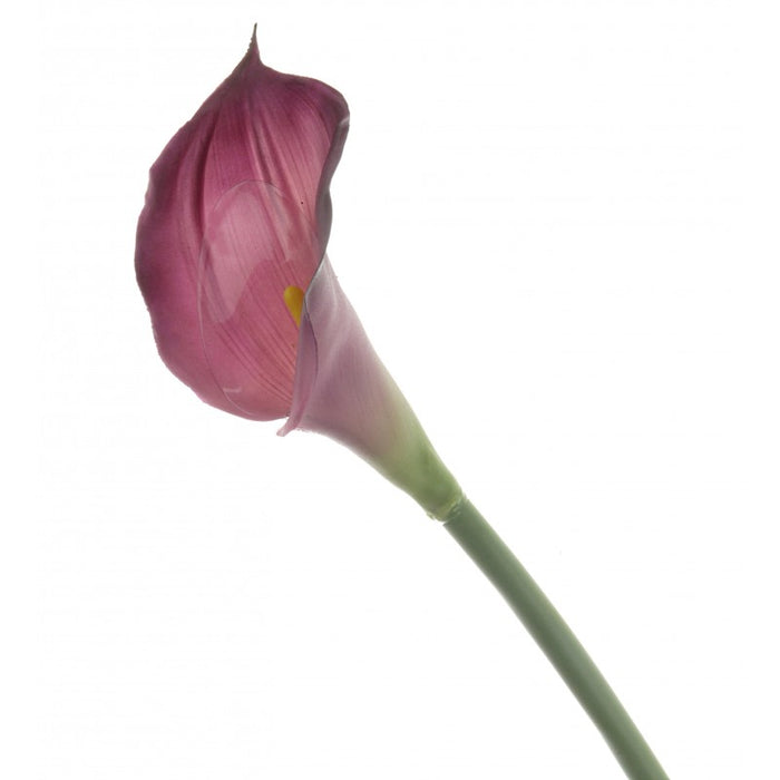 Real Touch Calla Lily x 68cm - Dark Purple