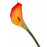 Real Touch Calla Lily x 68cm - Red/Yellow 