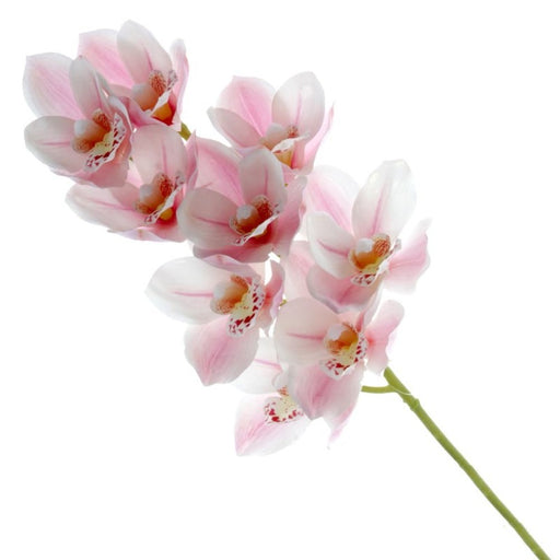 Artificial Pink Real touch cymbidium orchid with 9 heads CP0902