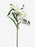 2 Head Real Touch Lily Stem x 64cm tall - White