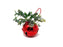 Mistletoe Bell Hanger - Red