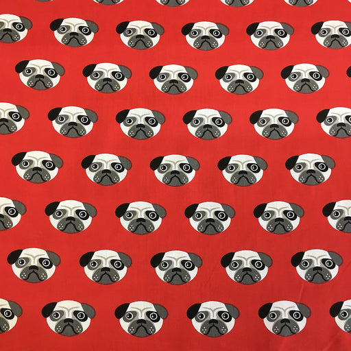 1 Metre 100% Cotton Pug Dog on Red Background Fabric 110cm Width