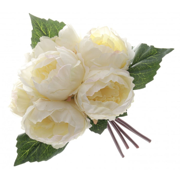 6 Head Peony Bush x 30cm - Cream