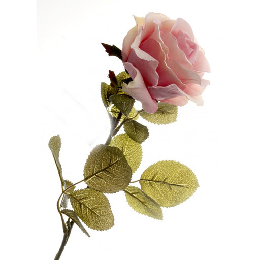 Rose - Light Pink - 70cm long