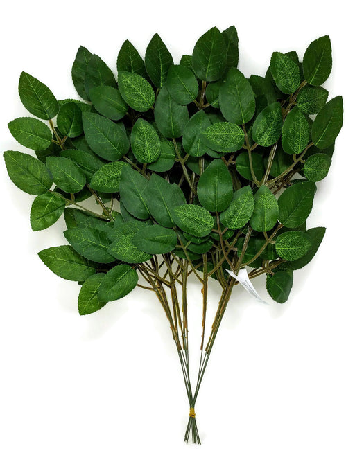 Green Rose Leaf Stem -12 Stems