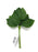 6 Stem Rose Leaf Spray x 18cm