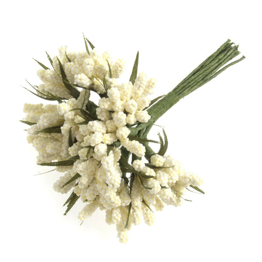 Small Cream Grape Hyacinth Spray