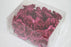 24 Glitter Rose Picks - Choice of Colour