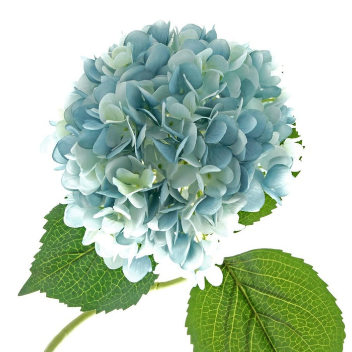 82cm Single Hydrangea - Light Blue