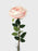 Austin Rose x 68cm - Single Stem - Baby Pink