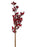 Tall Hawthorn Berry Stem x 80cm
