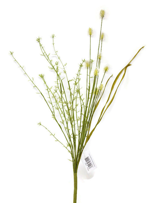 Cream Teasel Wild Foliage Spray x 55cm