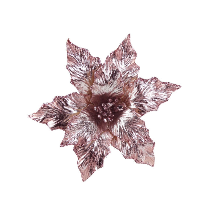 Clip On Blush Pink Poinsettia x 20cm 
