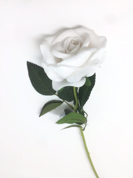 Single Stem Velvet Touch Rose - White * Due Early June*