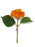 Viburnum Flower Bud Pick x 24cm - Orange