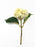 Viburnum Flower Bud Pick x 24cm - Ivory