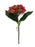 Viburnum Flower Bud Stem x 24cm - Shades of Pink