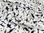 1M 100% Cotton Poplin Penguins on White 110cm (45 inches)