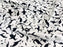 1M 100% Cotton Poplin Penguins on White 110cm (45 inches)