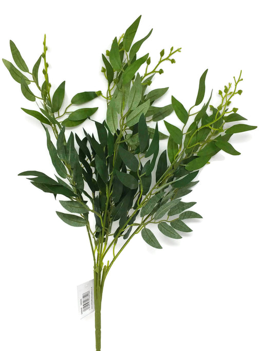 Willow Leaf Bush x 50cm