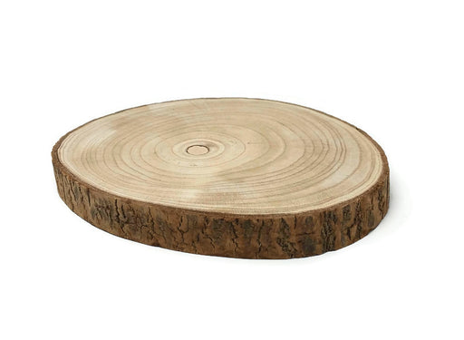 Natural Wood Slice - 25 x 3.5cm