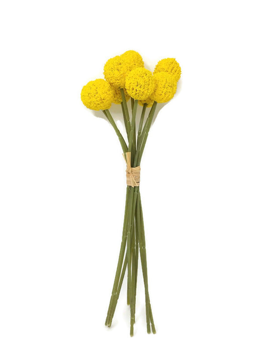 9 Head Craspedia Flower Ball Bunch x 28cm - Yellow