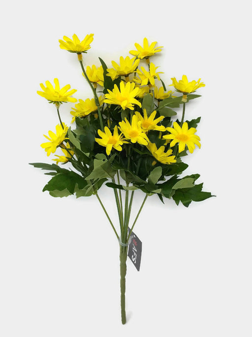 Yellow Daisy Bush x 34cm