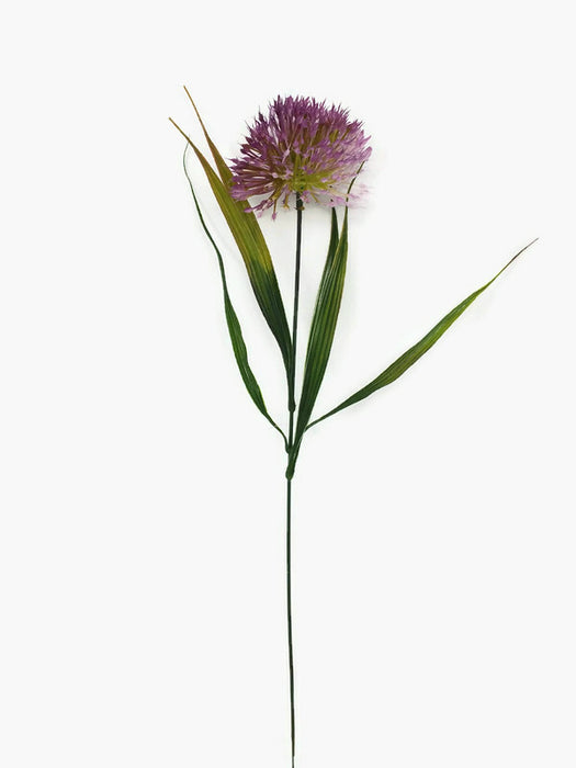 Single Stem Allium - Purple